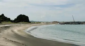 Calma - Image 4