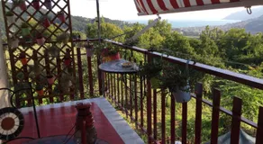 Il cipresso - Image 4