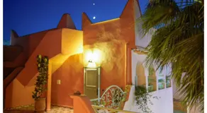 Riad tania mozaik - Image 4