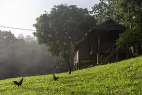 Tawan Riverside - Image 4