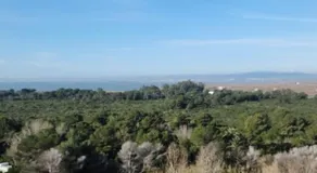Three Horizons Penthouse El Saler - Image 5