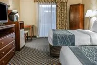 Comfort Inn Coldwater - Image 3