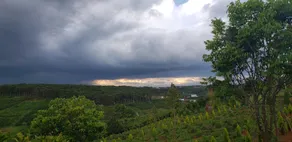 Kazuo Village - Ngôi làng thanh bình - Image 4