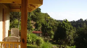 Teresinajamaica - Image 3