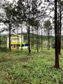 It’s pleasant vibe with nature oriented - Image 4