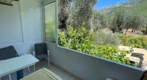 Aparments in the olives - Image 3