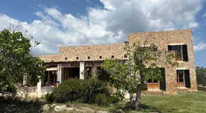 Son Gener - Image 4