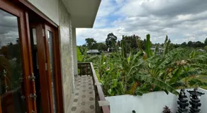 Nyoman House - Image 4