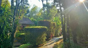 Repousada Sana - Image 5