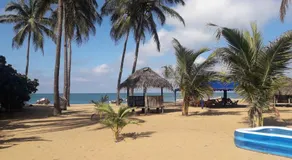 Dolphin Village - Image 3
