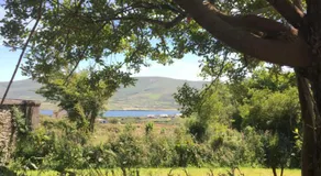 Retro Caravans at Valentia Island Escape - Image 5