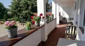 Casa Ago - Guest House - Image 4
