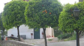 Hotel Tarabaralla - Image 5