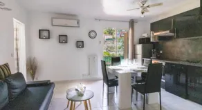 Les Mimosas - Image 2