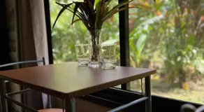 Finca Verde Lodge - Image 4
