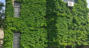 Central GREEN HOUSE - Image 2