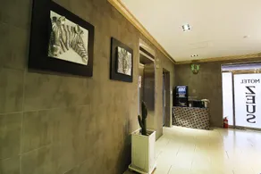 Gwangju Sinandong Zeus - Image 3