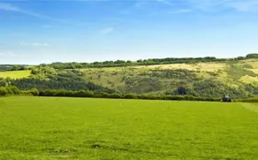 Zeal Farm - Image 4