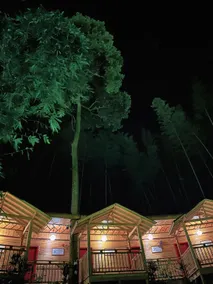 Shunan Bamboo Sea Bamboo Forest Courtyard · Home of Hainan Nan - Image 5