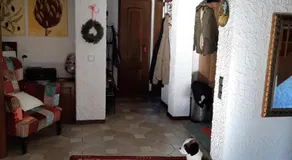 Großes gemütliches Zimmer mit eigener Dusche - Image 4