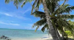 Fully equipped Bungalow next to a white sand beach - Image 4