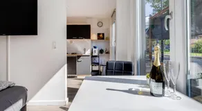 Luxe WELLNESS apartment Apeldoorn with JACUZZI and SAUNA - Image 2