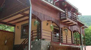 PENSIUNEA LA BUSU -BIGAR - Image 3
