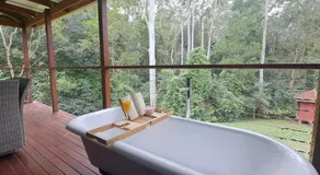 Eucalyptus Escape - Privacy in the Hinterland - Image 3