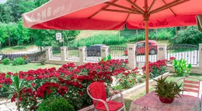 Apartmani "Vila Jelena" Arandjelovac - Image 4