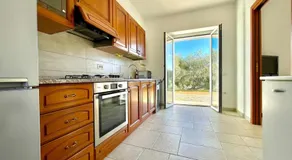 Sunny Hill - Image 2