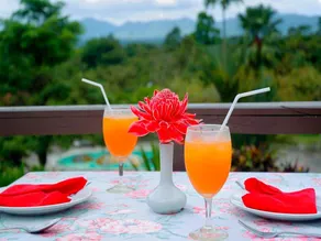 Krating Country Resort - Image 5