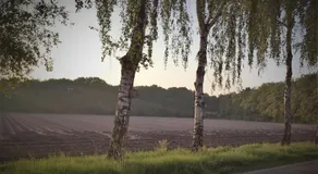 B&B Op 't Eikenschoor - Image 4