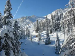 Hotel Garni Elisir - Image 5