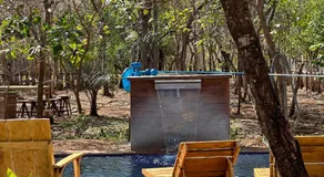 Finca Avellanas  - Image 4
