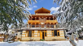 Himalayan Baseraa  - Image 3