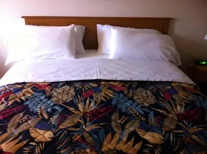 D-Lux Budget Inn Lemont - Image 5
