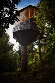 Treecasa Resort - Image 2