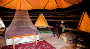 חוות ארץ פרא wild land farm - Image 2