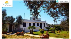 Li Catauri - Image 4