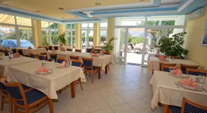 Pansion Burin - Image 4