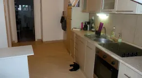 Chambre Nice hyper centre ville - Image 3