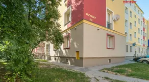 Miętowy - Image 4