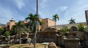 Acapulco Diamante - Playa Princess & GNP Arena - Image 4