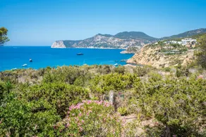 Villa vista al mar, Blue Marlin - Image 4