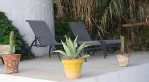 Casa Da Cabeça - Image 3