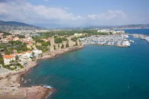Les cigales - Image 3