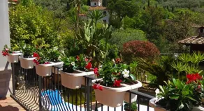 jasmine cottage - Image 5