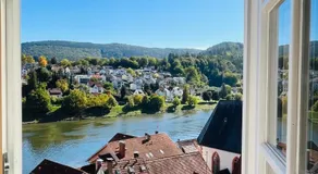 Natur und Neckarblick bei Heidelberg - Image 2