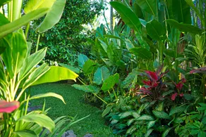 Masakali Retreat - Image 3