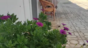Thanos House - Σπίτι στην εξοχή - Image 4